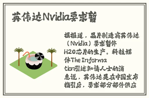 国产美女A做受大片观看